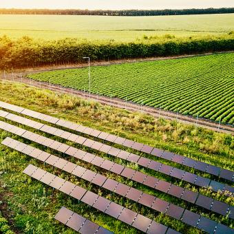Photovoltaic drip irrigation system
