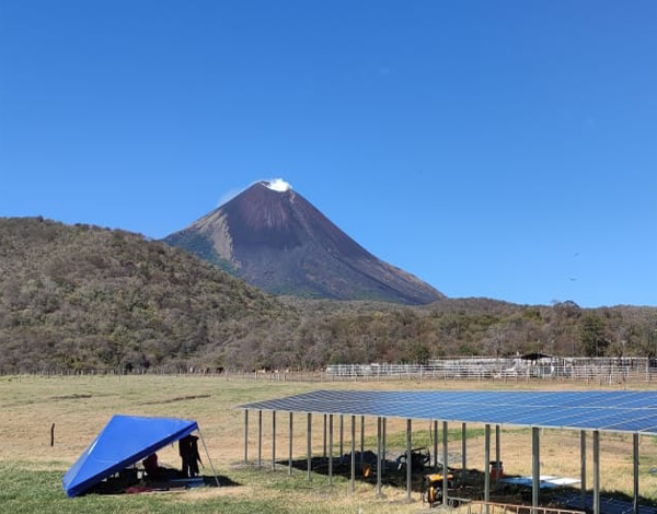 IMSAおめでとうございます